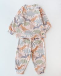 ست نیوبورن دایناسور